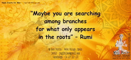 rootsRumi.png